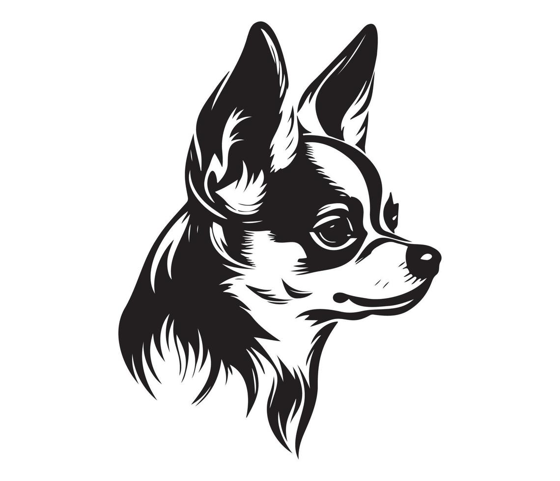 Chihuahua Dibujo Blanco y Negro Una Guía Completa sobre esta Raza de Perro