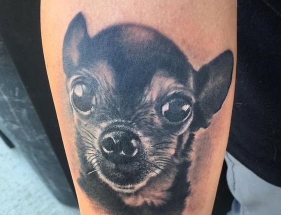 Tatuajes de Chihuahua Una Declaración de Amor Canino