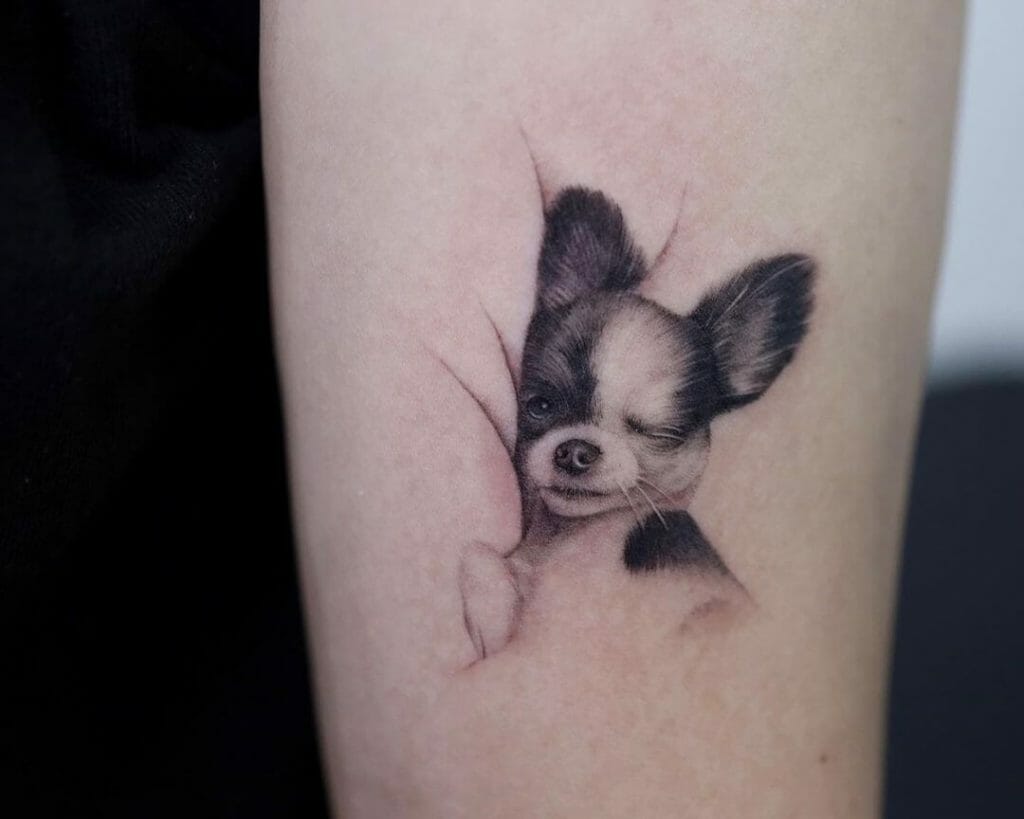 Tatuajes de Chihuahua Una Declaración de Amor Canino